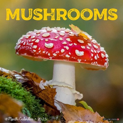 Willow Creek Press Mushrooms 2025 Wall Calendar: Monthly Planner, 12x12 Inches, All Ages, Blue, Paper, Sewn Binding