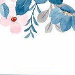blue petal