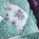 lilac sage