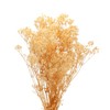 Unique Bargains Natural Dried Baby's Breath Flowers Branches for Wedding Party Decoration White 1 Pc - 3 of 4