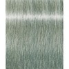 Schwarzkopf Professional Igora Royal Hair Color Dye - 9,5-31 - Pastel Mint Haircolor - 3 of 3