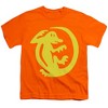 Boys' Short Sleeve Legends Of the Hidden Temple Orange Iguanas T-Shirt - 2 of 4