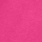 raspberry sorbet