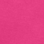 raspberry sorbet