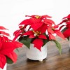 Nearly Natural 9-in Artificial Poinsettia Arrangements in White Ceramic Pots - Set of 3 - 3 of 4