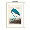 Amanti Art Custom Pl 431 American Flamingo I by John James Audubon Wood Framed Wall Art Print - 4 of 4