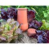 Dripping Springs OLLAS Watering Pot, Efficient Clay Garden Irrigation to Water Plant Roots, Terra Cotta, 9.5 x 5.5 inches, 1.5 quart - 4 of 4