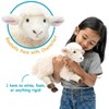 Shooky The Sheep - 13 Inch Stuffed Animal Plush - 3 of 4