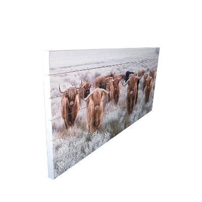 Highland Herd Photographic Print on Planked Fir Wood Wall Art