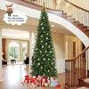 Resenkos 12-Ft Tall Artificial Christmas Tree with 800 Warm White LEDs - Green - 4 of 4