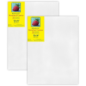 Strathmore 300 Series Traditional Stretched Canvas, 12x16 inch, Pack of 2 - 1 of 4
