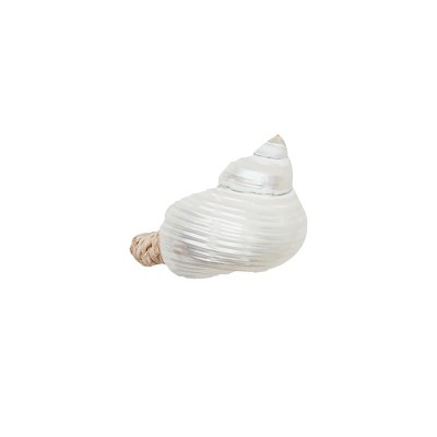 White Turbo Shell Coastal Napkin Ring Set of 6