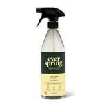 Lemon & Mint All Purpose Cleaner - 28 fl oz - Everspring™