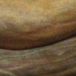 clear push pins bundle