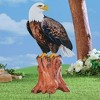 Collections Etc Realistic Bald Eagle on Stump Outdoor Garden Stake - 2 of 2