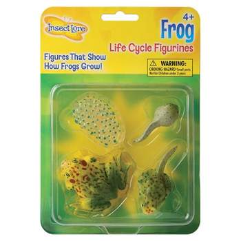 Insect Lore Frog Life Cycle Stages