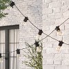 Drop Socket Solar LED String Lights with Edison Bulbs Black Wire - Smith & Hawken™ - image 2 of 4