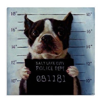 Stupell Industries Boston Terrier Jail Convicted Mugshot, 24" x 24"