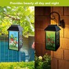 Briarwood Lane Summer Lantern 12" x 6" x 6" Happy Frogs Solar For Summer Lantern - 3 of 4