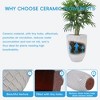 SpassWay 17" Dia Outdoor Indoor Ceramic Planter Pot Decorative Planter with Drainage Hole Patio Flower Pot - 4 of 4