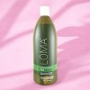 Loma Fortifying Repairative Tonic - 33.8 oz - Repair, Strengthen, and Color-Protect in One Single Pump - 4 of 4