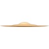 SABIAN AAX Treme Chinese Cymbal Brilliant 19 in. - 3 of 3
