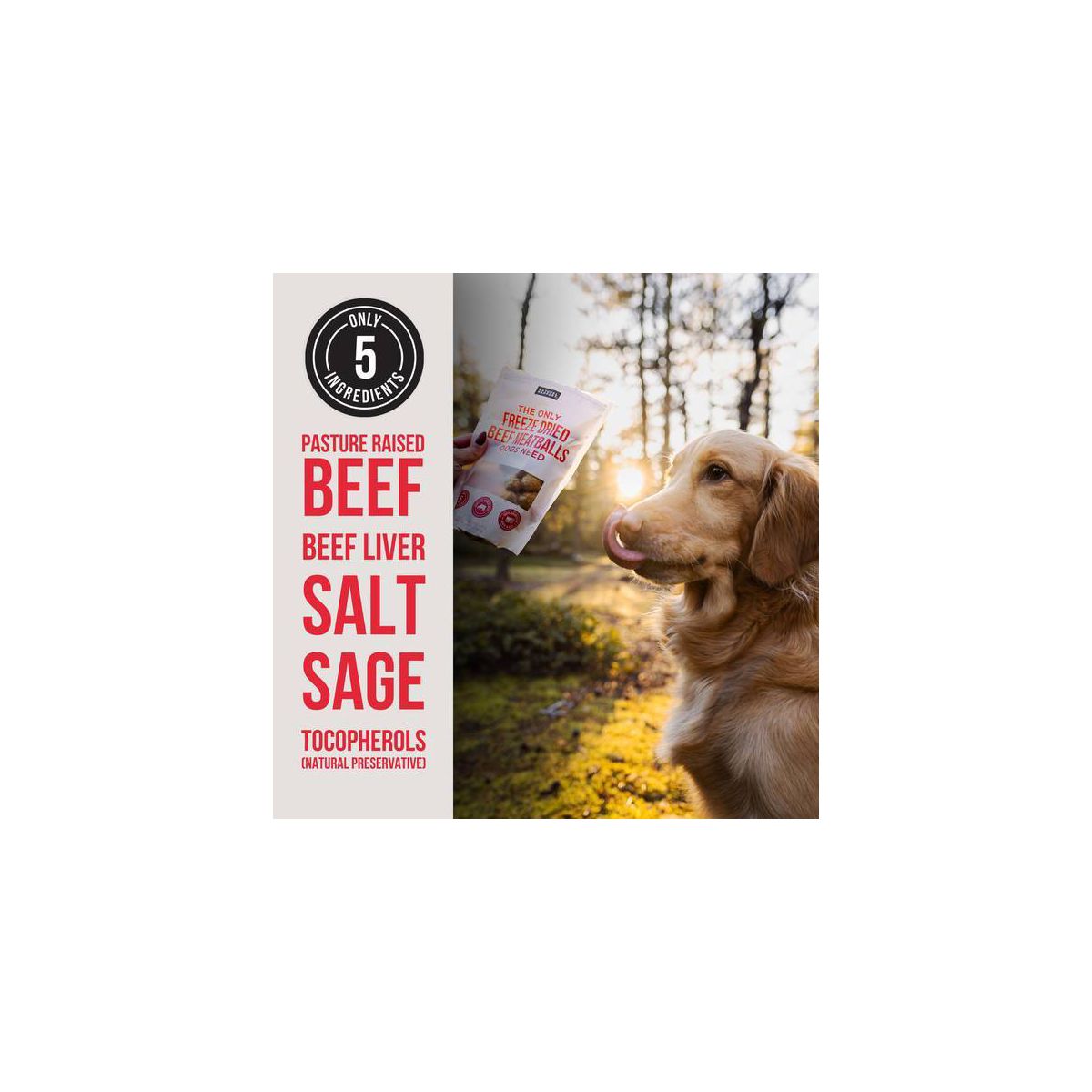 Natural Rapport The Only Freeze Dried Meatballs Dog Treats - 4oz - thumbnail 6