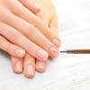 Unique Bargains Nail Painting Brushes for Polish Painting Home DIY Brown 1 Pc - 2 of 4