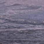 coastal white