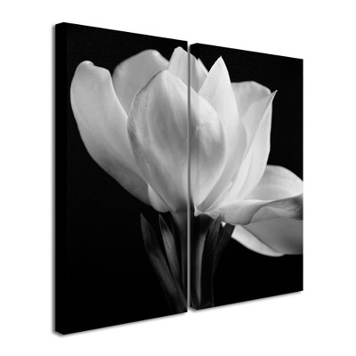 Michael Harrison 'Gardenia' Floating Brushed Aluminum Art
