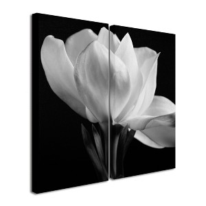 Michael Harrison 'Gardenia' Floating Brushed Aluminum Art - 1 of 3