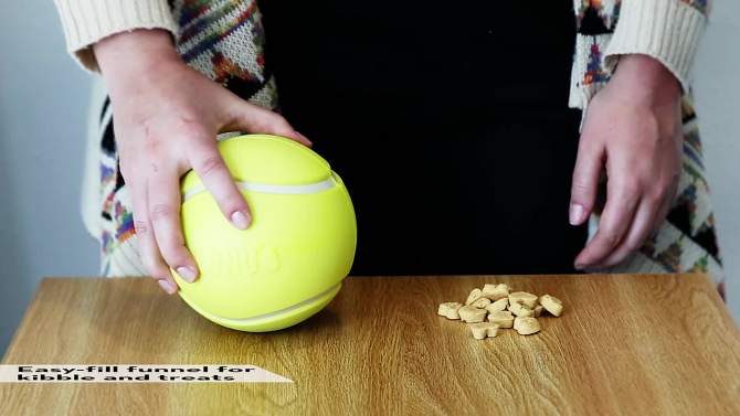 KONG Rewards Tennis Ball Dog Toy - S, 2 of 6, play video