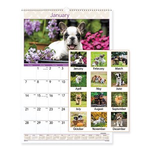 Puppies Monthly Wall Calendar, Puppies Photography, 15.5 x 22.75, White/Multicolor Sheets, 12-Month (Jan to Dec): 2025 - 1 of 4