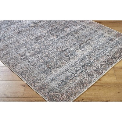 Hauteloom Charla Living Room, Bedroom Machine Washable Area Rug - Traditional