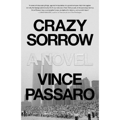 Crazy Sorrow - by  Vince Passaro (Hardcover)