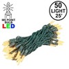 Novelty Lights M5 LED Christmas String Lights 50 Mini Bulbs (Green Wire, 25 Feet) - 3 of 4