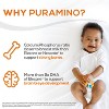 Enfamil PurAmino DHA and ARA Hypoallergenic Powder Infant Formula - 14.1oz - 4 of 4