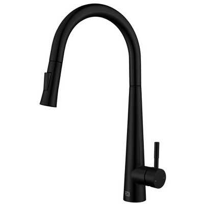 Elegant Lighting Lucas Single Handle Pull Down Sprayer Kitchen Faucet in Matte Black