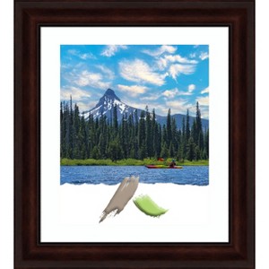 Amanti Art Coffee Bean Brown Picture Frame - 1 of 4