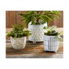 tagltd Imprint Leaf Terracotta Planter with Feet, 7L x 7W x 7.5H inches, fits a 6" drop in plant, Decorative Use only' - 2 of 2