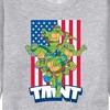 Men's - Teenage Mutant Ninja Turtles - USA Turtles Graphic Fleece Sweatshirt - 2 of 4