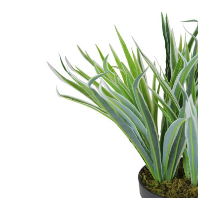 13" Green and White Artificial Grass Plant in Black Pot