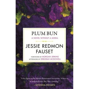 Plum Bun - (Celebrating Black Women Writers) by  Jessi Redmon Fauset (Paperback) - 1 of 1