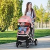 Kinder King Meno V 3 in 1 Reversible Baby Stroller w/Detachable Tray, Adjustable Canopy, Suspension Wheels - 4 of 4