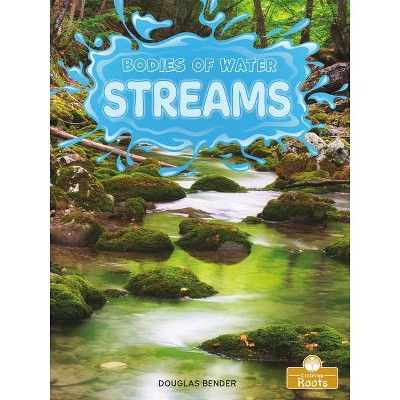 Streams - (Bodies of Water) by  Douglas Bender (Paperback)