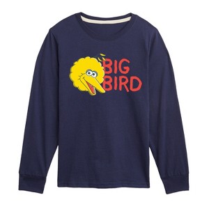 Boys' - Sesame Street - Big Bird Long Sleeve Graphic T-Shirt - 1 of 3