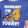 Girls' - Disney - Hooray I'm 4 Today Short Sleeve Graphic T-Shirt - 2 of 4