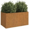 Aghana Digitals Rustic Corten Steel Rectangular Outdoor Planter - Medium Size, Durable - 3 of 4