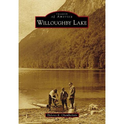 Willoughby Lake - by  Dolores E Chamberlain (Paperback)