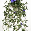 44" Artificial Hanging Morning Glory Plant - National Tree Company - 4 of 4